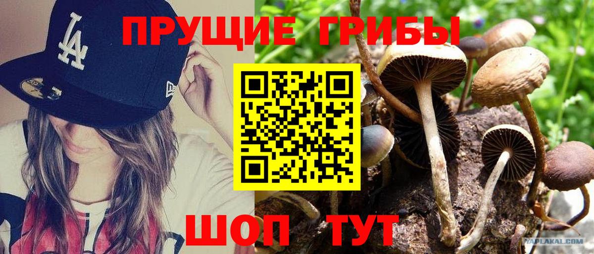 Галлюциногенные грибы ЛСД  Галлюциногенные грибы мицелий  продажа наркотиков  Вход с VPN  Заинск 