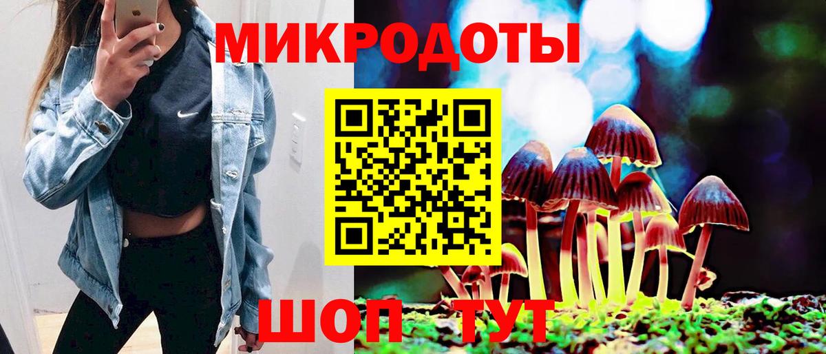 Галлюциногенные грибы мухоморы Заинск