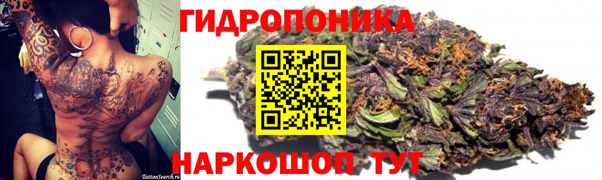 Конопля гибрид Заинск